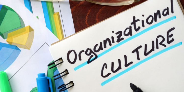 Ảnh hưởng của văn hóa đến phát triển bền vững của doanh nghiệp?